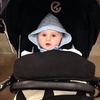 Oyster Max Baby Stroller Buggy